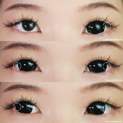 Sweety Mini Sclera Lens Black Titan